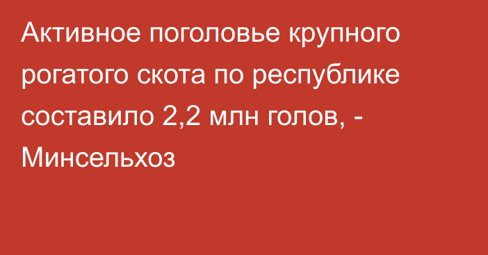 Активное поголовье крупного рогатого скота по республике составило 2,2 млн голов, - Минсельхоз