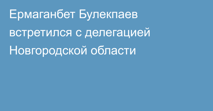 Ермаганбет Булекпаев встретился с делегацией Новгородской области