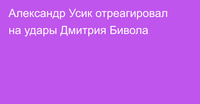 Александр Усик отреагировал на удары Дмитрия Бивола