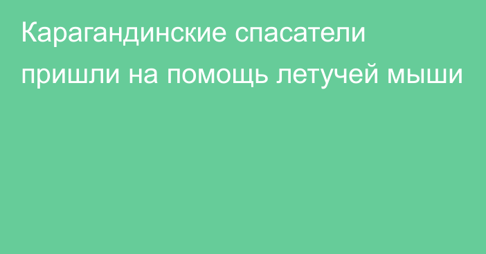 Карагандинские спасатели пришли на помощь летучей мыши