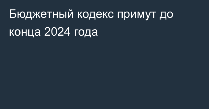 Бюджетный кодекс примут до конца 2024 года