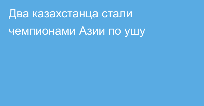 Два казахстанца стали чемпионами Азии по ушу