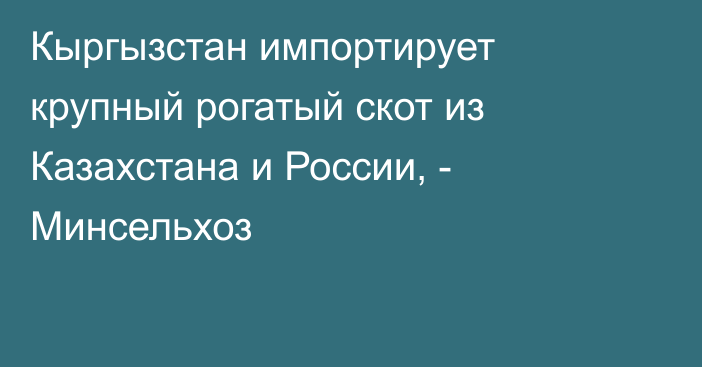 Кыргызстан импортирует крупный рогатый скот из Казахстана и России, - Минсельхоз