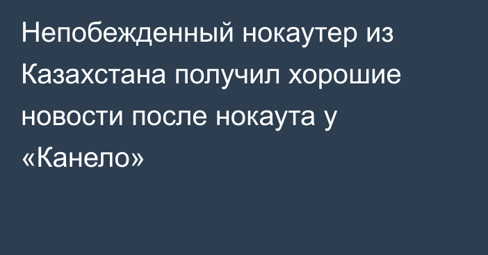 Непобежденный нокаутер из Казахстана получил хорошие новости после нокаута у «Канело»