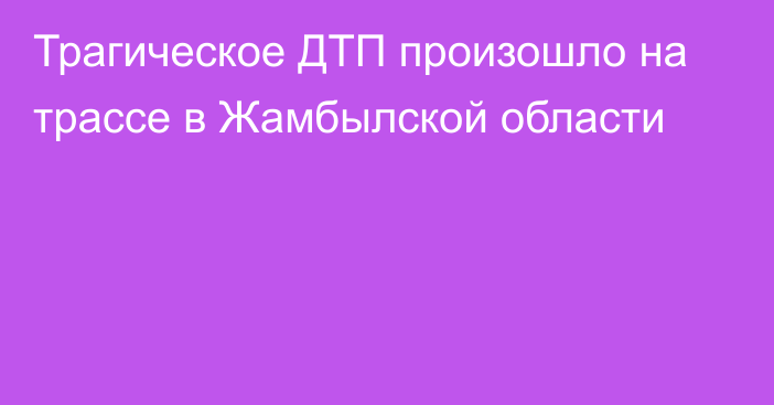 Трагическое ДТП произошло на трассе в Жамбылской области