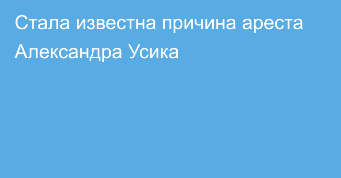 Стала известна причина ареста Александра Усика