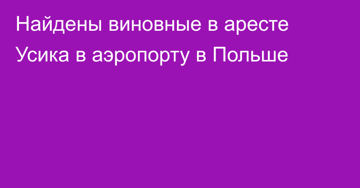 Найдены виновные в аресте Усика в аэропорту в Польше