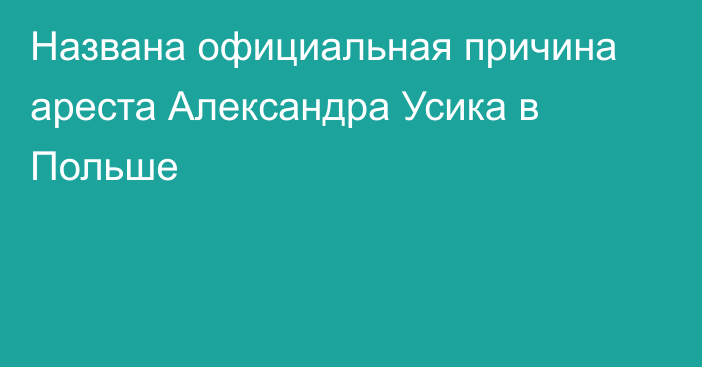 Названа официальная причина ареста Александра Усика в Польше