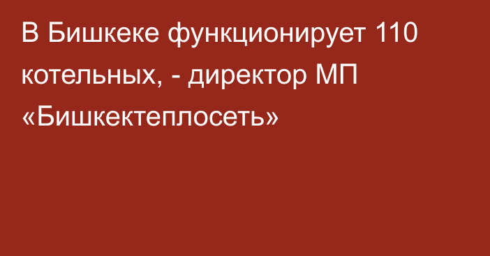 В Бишкеке функционирует 110 котельных, - директор МП «Бишкектеплосеть»