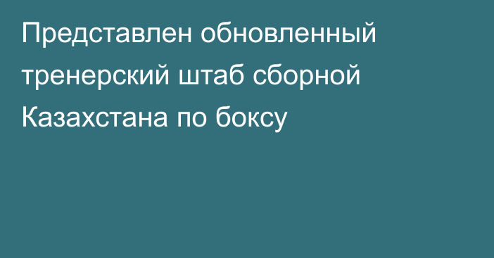 Представлен обновленный тренерский штаб сборной Казахстана по боксу