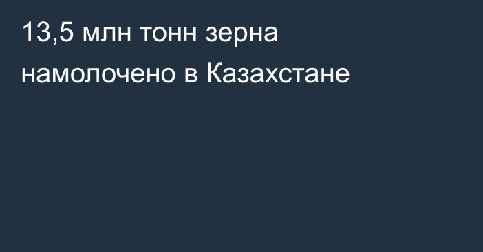 13,5 млн тонн зерна намолочено в Казахстане