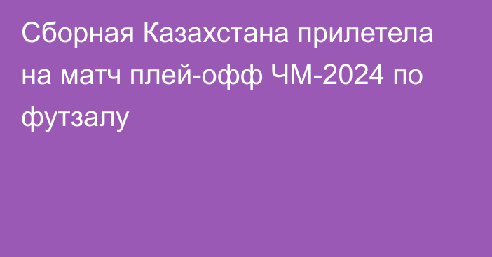 Сборная Казахстана прилетела на матч плей-офф ЧМ-2024 по футзалу