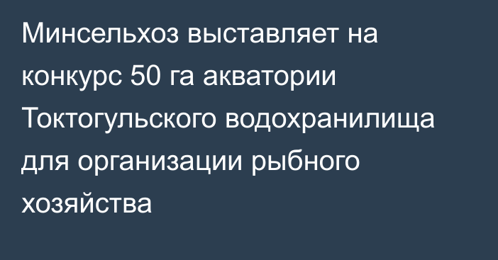 Минсельхоз выставляет на конкурс 50 га акватории Токтогульского водохранилища для организации рыбного хозяйства