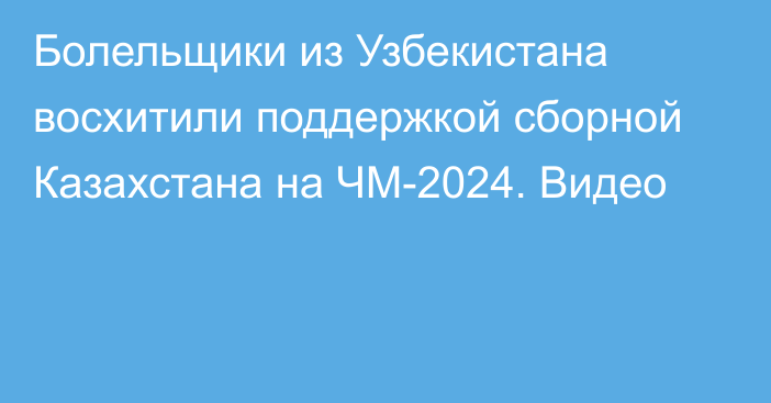 Болельщики из Узбекистана восхитили поддержкой сборной Казахстана на ЧМ-2024. Видео