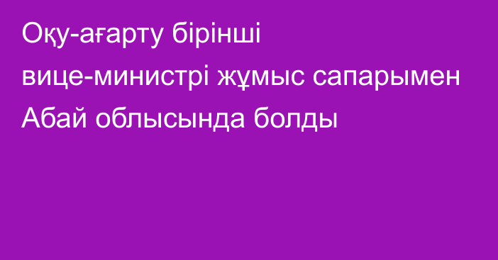 Оқу-ағарту бірінші вице-министрі жұмыс сапарымен Абай облысында болды