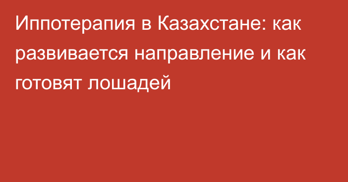 Иппотерапия в Казахстане: как развивается направление и как готовят лошадей