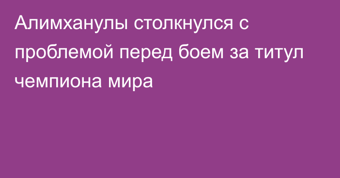 Алимханулы столкнулся с проблемой перед боем за титул чемпиона мира