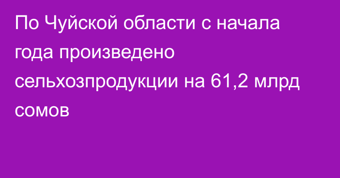 По Чуйской области с начала года произведено сельхозпродукции на 61,2 млрд сомов