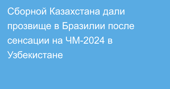 Сборной Казахстана дали прозвище в Бразилии после сенсации на ЧМ-2024 в Узбекистане