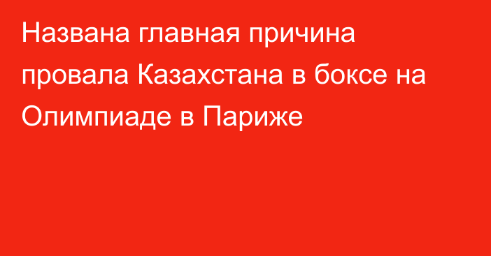 Названа главная причина провала Казахстана в боксе на Олимпиаде в Париже