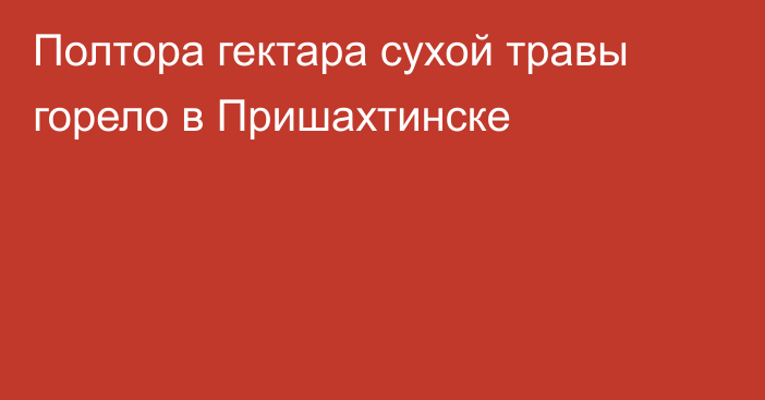 Полтора гектара сухой травы горело в Пришахтинске