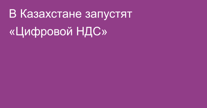 В Казахстане запустят «Цифровой НДС»