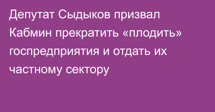 Депутат Сыдыков призвал Кабмин прекратить «плодить» госпредприятия и отдать их частному сектору