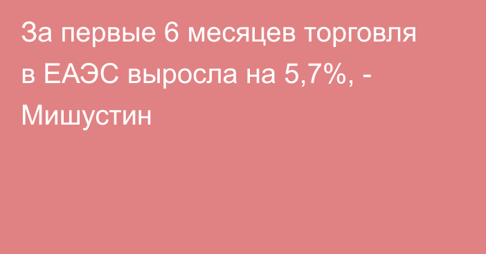 За первые 6 месяцев торговля в ЕАЭС выросла на 5,7%, - Мишустин