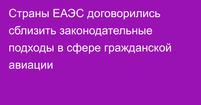 Страны ЕАЭС договорились сблизить законодательные подходы в сфере гражданской авиации