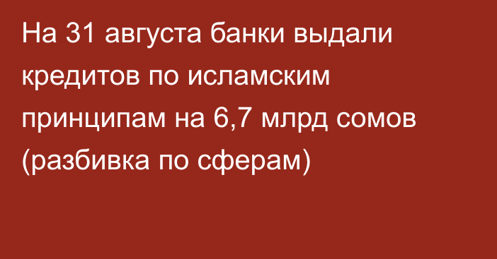 На 31 августа банки выдали кредитов по исламским принципам на 6,7 млрд сомов (разбивка по сферам)