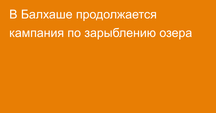 В Балхаше продолжается кампания по зарыблению озера