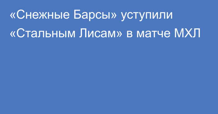 «Снежные Барсы» уступили «Стальным Лисам» в матче МХЛ