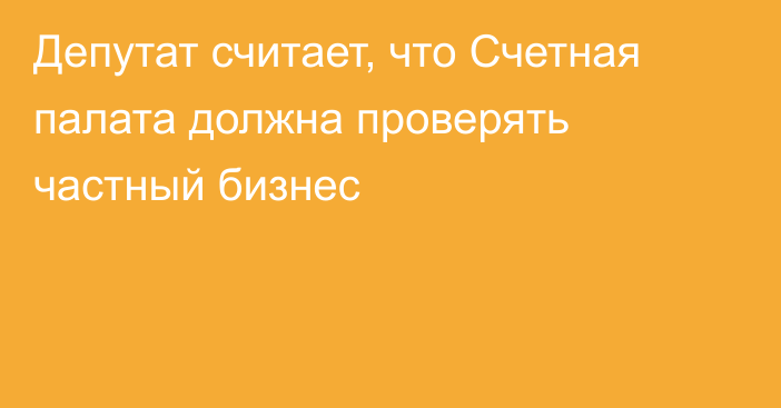 Депутат считает, что Счетная палата должна проверять частный бизнес