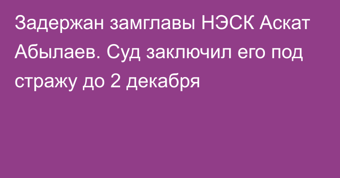 Задержан замглавы НЭСК Аскат Абылаев. Суд заключил его под стражу до 2 декабря