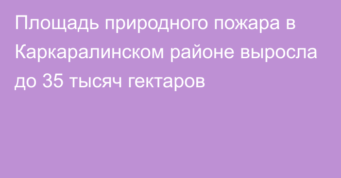 Площадь природного пожара в Каркаралинском районе выросла до 35 тысяч гектаров