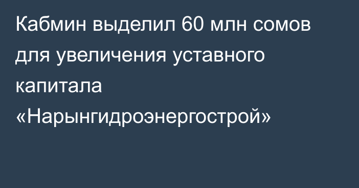 Кабмин выделил 60 млн сомов для увеличения уставного капитала «Нарынгидроэнергострой»