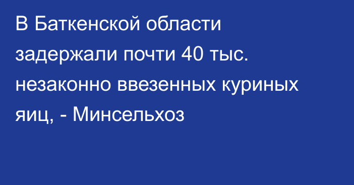 В Баткенской области задержали почти 40 тыс. незаконно ввезенных куриных яиц, - Минсельхоз