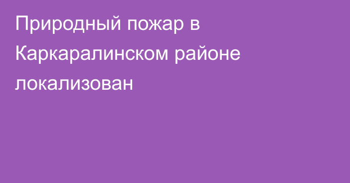 Природный пожар в Каркаралинском районе локализован