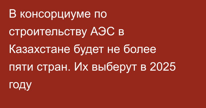 В консорциуме по строительству АЭС в Казахстане будет не более пяти стран. Их выберут в 2025 году