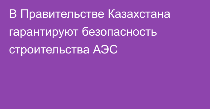 В Правительстве Казахстана гарантируют безопасность строительства АЭС