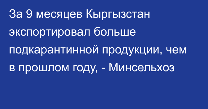 За 9 месяцев Кыргызстан экспортировал больше подкарантинной продукции, чем в прошлом году, - Минсельхоз 