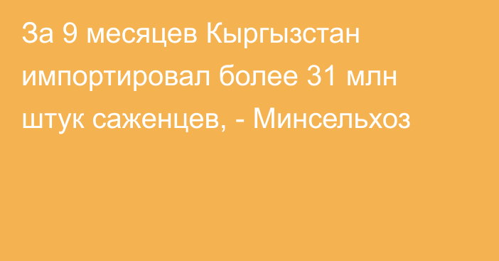 За 9 месяцев Кыргызстан импортировал более 31 млн штук саженцев, - Минсельхоз 