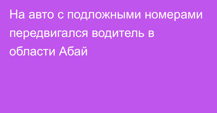 На авто с подложными номерами передвигался водитель в области Абай