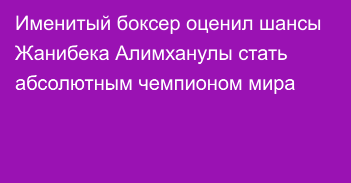 Именитый боксер оценил шансы Жанибека Алимханулы стать абсолютным чемпионом мира