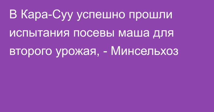 В Кара-Суу успешно прошли испытания посевы маша для второго урожая, - Минсельхоз