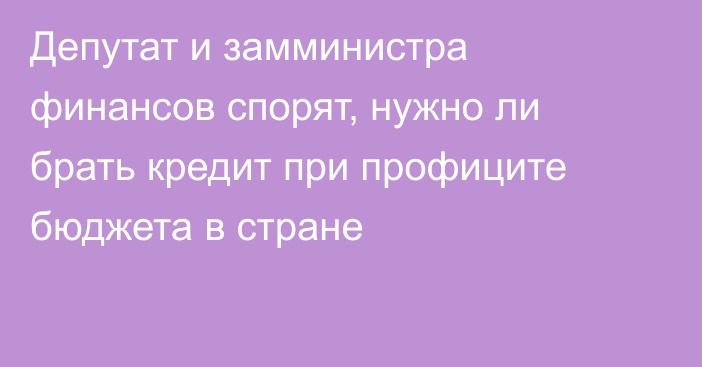 Депутат и замминистра финансов спорят, нужно ли брать кредит при профиците бюджета в стране