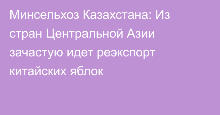 Минсельхоз Казахстана: Из стран Центральной Азии зачастую идет реэкспорт китайских яблок