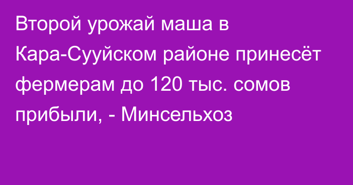 Второй урожай маша в Кара-Сууйском районе принесёт фермерам до 120 тыс. сомов прибыли, - Минсельхоз