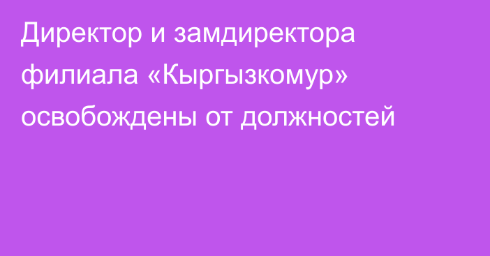 Директор и замдиректора филиала «Кыргызкомур» освобождены от должностей