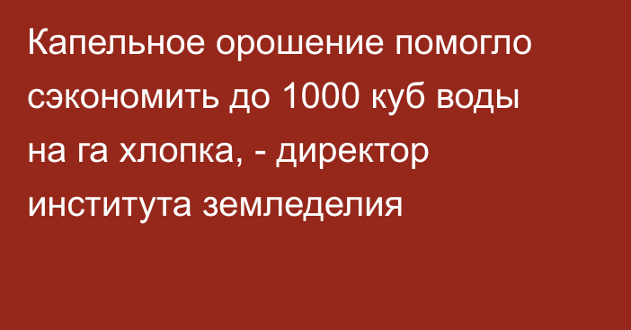 Капельное орошение помогло сэкономить до 1000 куб воды на га хлопка, - директор института земледелия